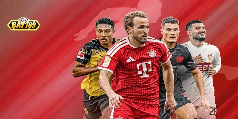 ca-cuoc-bundesliga-bay789 Biểu đồ thống kê tỷ lệ kèo châu Á và tài xỉu trong các trận đấu tại Đức